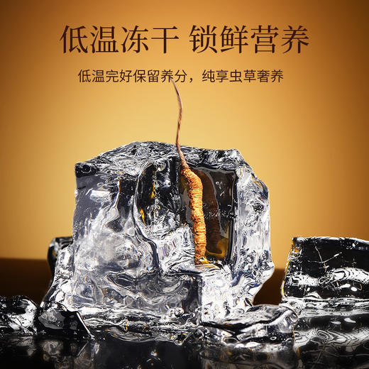 【冬季滋补】【礼盒】【杞里香礼盒装冬虫夏草】东虫草茶干货礼盒装礼盒新年礼品送礼 商品图5