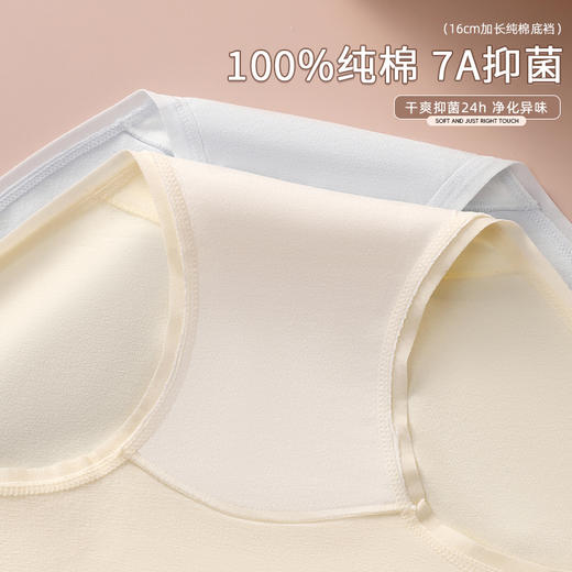 【39元3条，请任拍3条，单拍不发】纯棉裸感女士内裤三条装-8806 商品图5