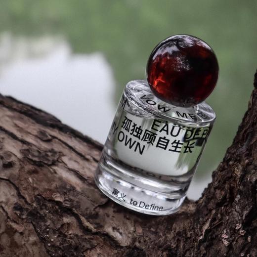 孤独顾自生长50ML 商品图3