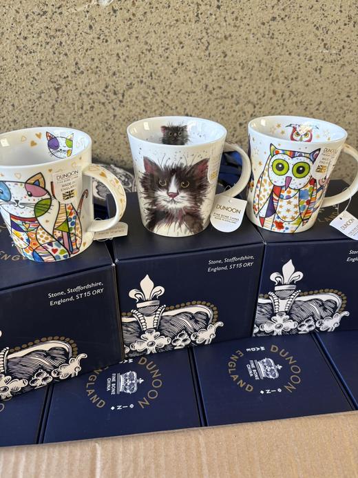 英国D*unoon丹&侬骨瓷杯 商品图12