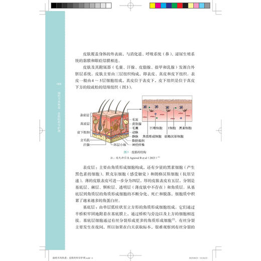 油痘不再焦虑：皮肤的科学护理 鞠强 鲍晶琳 李成亮 本书聚焦油痘皮肤的科学护理 系统阐述油痘皮肤的专业认识 上海科学技术出版社 商品图4