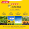 西王葵花籽油5L/桶 物理压榨一级食用油【包邮直发】 商品缩略图3