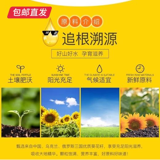 西王葵花籽油5L/桶 物理压榨一级食用油【包邮直发】 商品图3