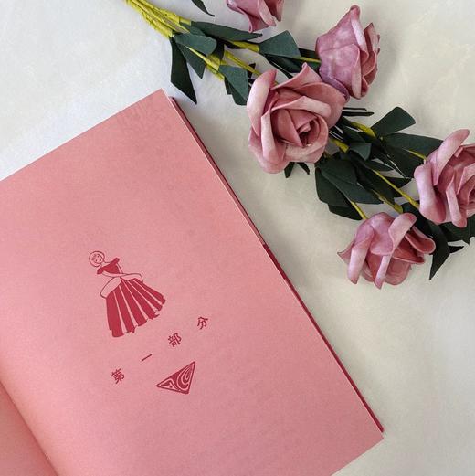 【附赠藏书票】小妇人 插图珍藏版 家庭婚姻四姐妹女性成长经典美国文学世界名著  后浪正版 商品图4