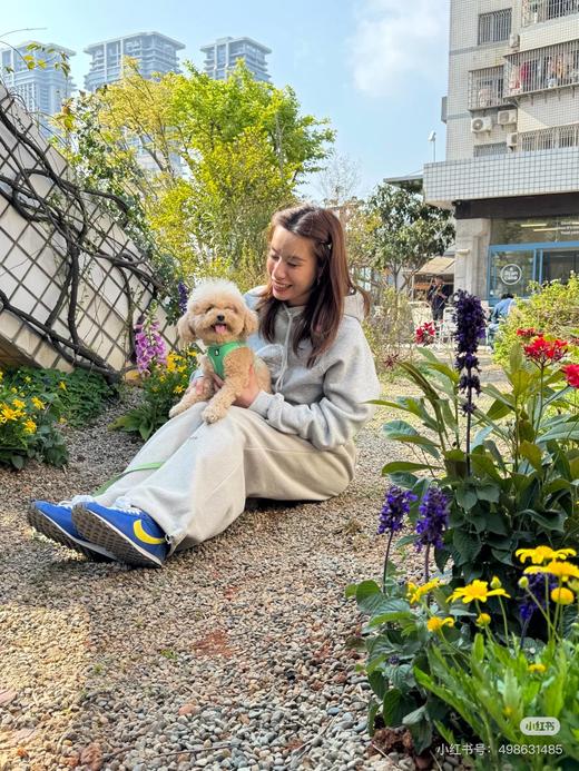 NK低帮运动鞋  跑鞋 商品图6