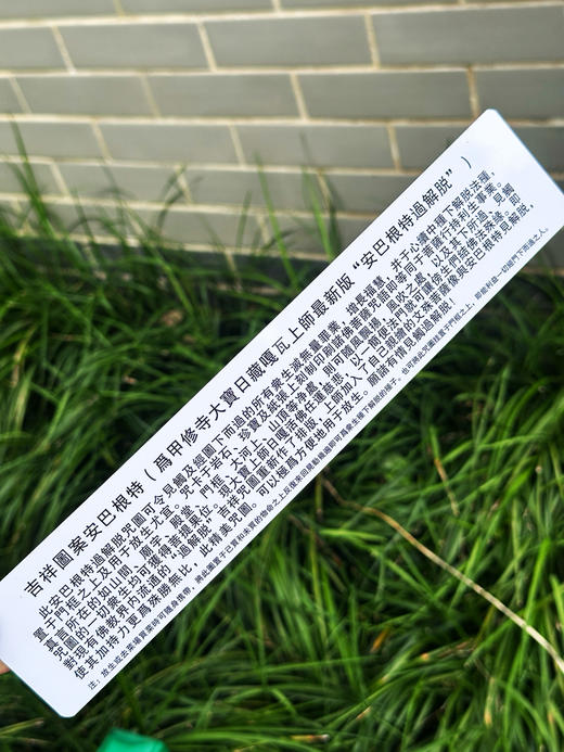 过门塑卡  过门咒解脱如意PVC卡  双面彩印卡片 安巴根特过解脱 商品图8