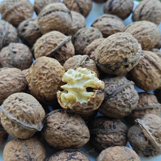 野生鲜核桃| 合作生产* Feral fresh nut | Coprodution 商品图2