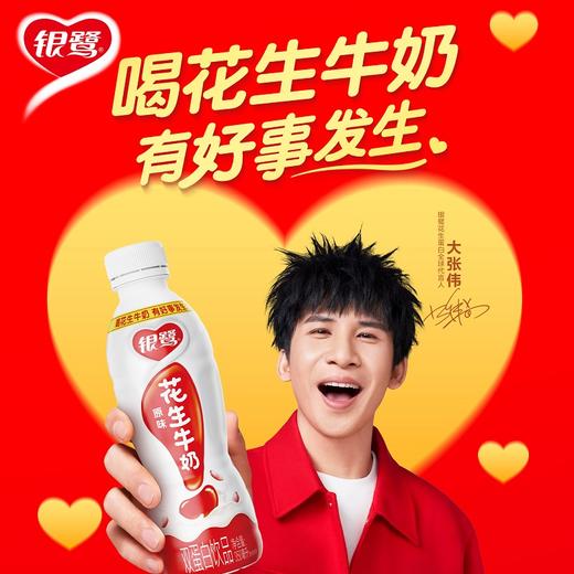 银鹭花生 牛奶 350ml*15瓶 经典 原味 风味 早餐牛奶 包邮 商品图1