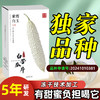 青藤仙仙紫霞白玉白苦瓜干片茶糖友控糖人群适用苦瓜冻干片泡水喝全新苦瓜新品种 商品缩略图6