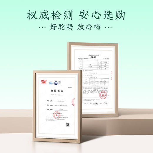 【益生菌驼奶粉】正广仁正宗新疆活性益生菌中老年成人驼乳粉 商品图11