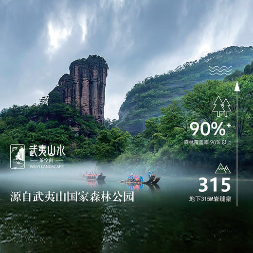 武夷山水灵泉380ml*24瓶整件小瓶装水饮用水泡茶水 商品图4