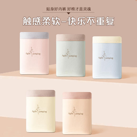 【39元3条，请任拍3条，单拍不发】纯棉裸感女士内裤三条装-8806 商品图1
