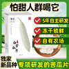 青藤仙仙紫霞白玉白苦瓜干片茶糖友控糖人群适用苦瓜冻干片泡水喝全新苦瓜新品种 商品缩略图5