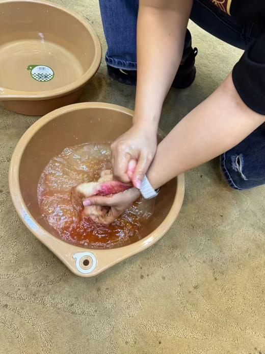 蔬果园天然玫瑰精油香氛洗衣液2kg装-3271 商品图3