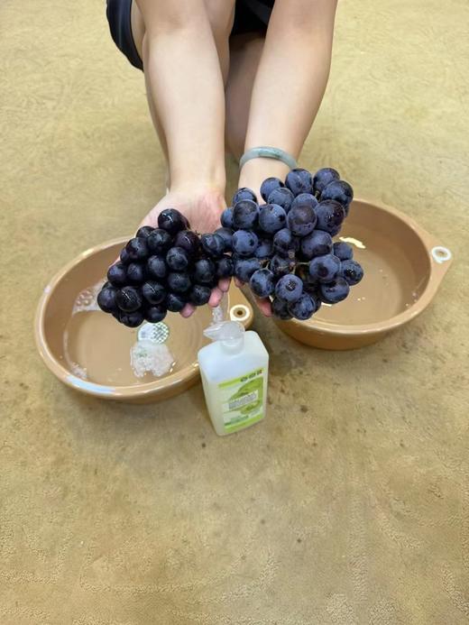 蔬果园橘彩星光餐具净洗洁精1+1特惠装-3059 商品图2