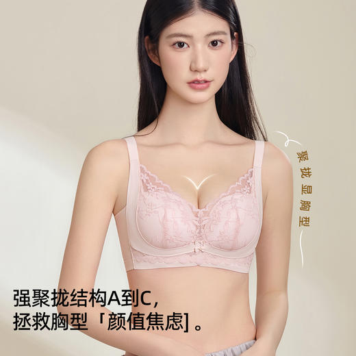 熳洁儿 小胸聚拢文胸双重反重力提拉无侧骨法式花卉蕾丝文胸25261513 商品图3