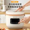 志高电饭家用煲智能预约电饭锅 4-6人多功能保温锅小型电饭锅 商品缩略图0