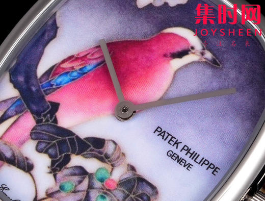 TW百达翡丽PP 珍稀工艺系列 Golden Ellipse系列5738/50J-011无时标刻度登场 男士腕表 商品图4