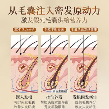 同仁堂防脱育发洗发水生姜增发密发固发养发防脱发侧柏叶洗发露 /个人护理 /洗发护发 /洗发水 商品图3