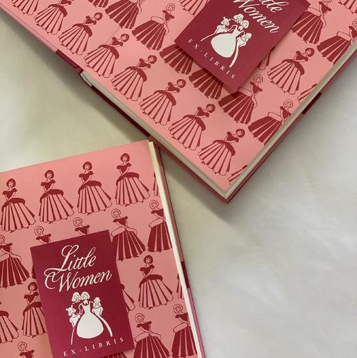 【附赠藏书票】小妇人 插图珍藏版 家庭婚姻四姐妹女性成长经典美国文学世界名著  后浪正版 商品图3