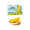 麦秀年早安大苞米东北黄糯玉米2.4斤200g*6穗软糯香甜真空家庭装早餐 /粮油调味 /杂粮 /谷米类 商品缩略图1