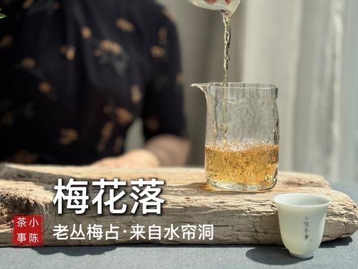 【家有好茶】水帘洞老丛梅占《梅花落》，四年未见的百花魁首，清幽蜡梅香清，冷，幽，梅香清晰如故！ 商品图8