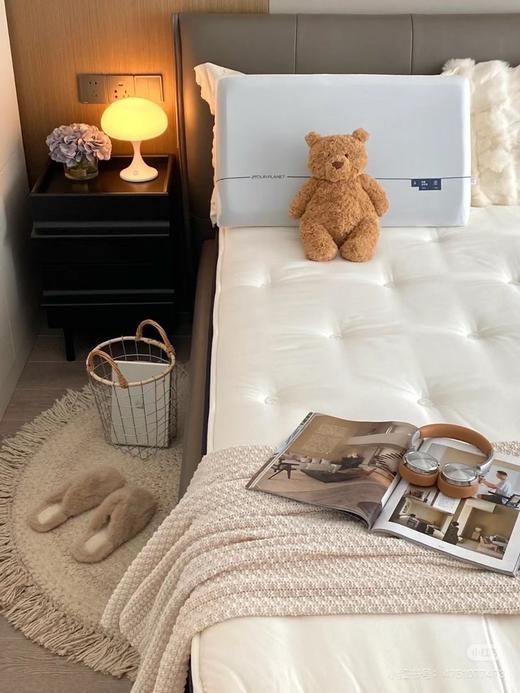 五星级酒店同厂的记忆枕 商品图1