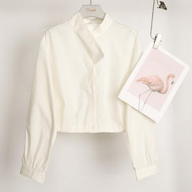 25秋冬飘带百搭衬衫25Q610-9101