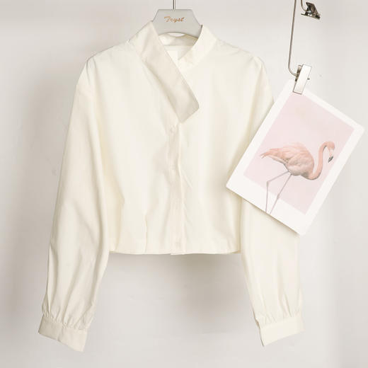 25秋冬飘带百搭衬衫25Q610-9101 商品图0