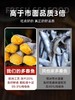 满籽多春鱼新鲜冷冻烧烤食材 商品缩略图3