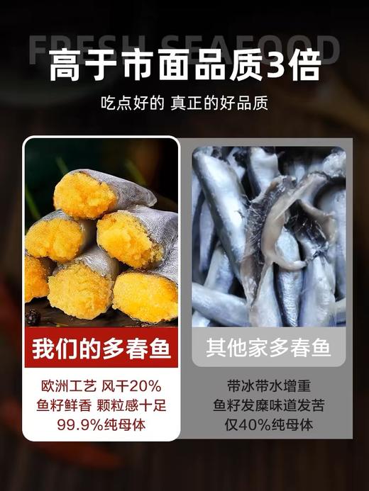 满籽多春鱼新鲜冷冻烧烤食材 商品图3