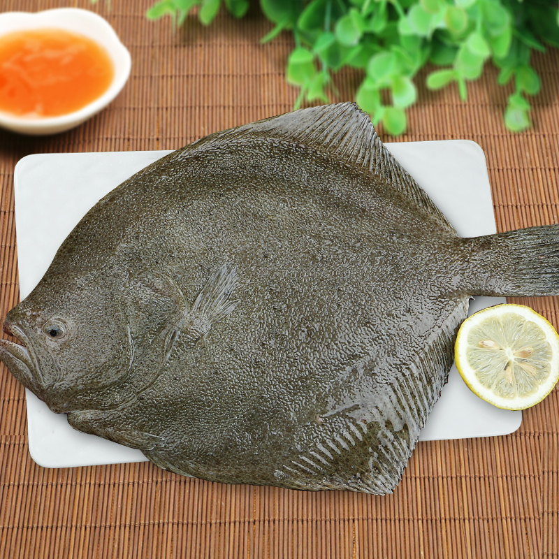 【东上御品】鲜活速冻多宝鱼