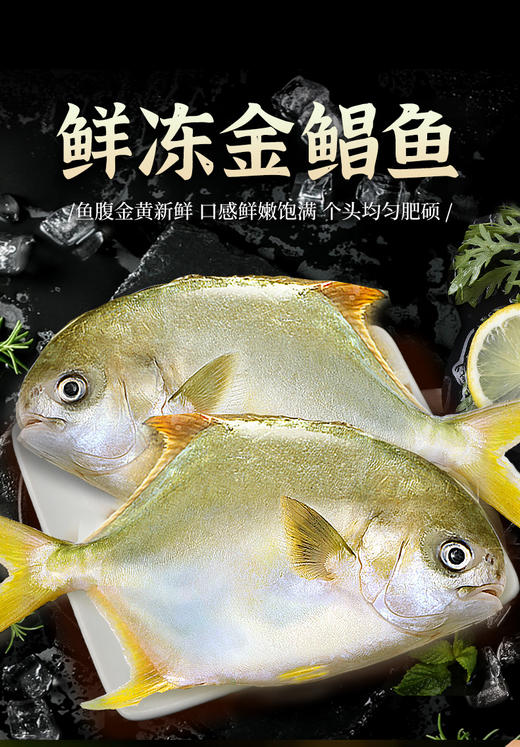 大号金鲳鱼新鲜冷冻  商品图4