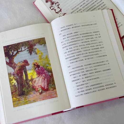 【附赠藏书票】小妇人 插图珍藏版 家庭婚姻四姐妹女性成长经典美国文学世界名著  后浪正版 商品图1