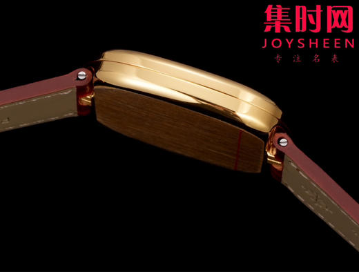 TW百达翡丽PP 珍稀工艺系列 Golden Ellipse系列5738/50J-011无时标刻度登场 男士腕表 商品图5