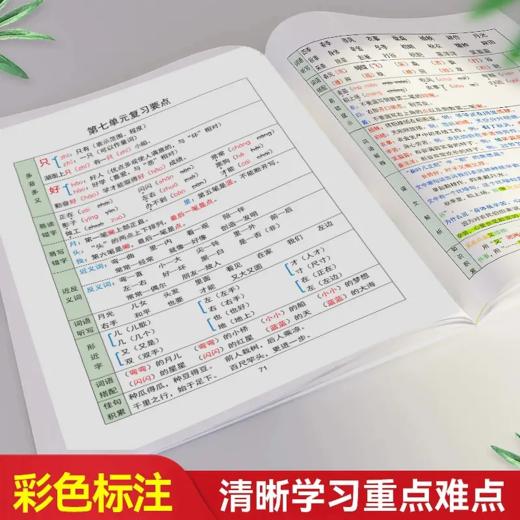 【双十一大促】语文重点知识集锦 小学1-3年级上册 商品图2