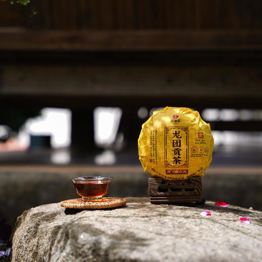 【整件8团】【龙团贡茶困鹿山熟茶】2022年头春头采云南普洱茶熟茶团茶礼盒装与茶农强强联合良心好茶500g/团 商品图2
