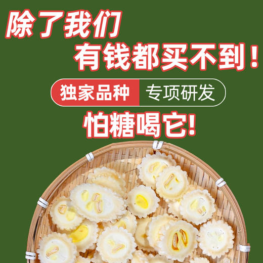 青藤仙仙紫霞白玉白苦瓜干片茶糖友控糖人群适用苦瓜冻干片泡水喝全新苦瓜新品种 商品图7