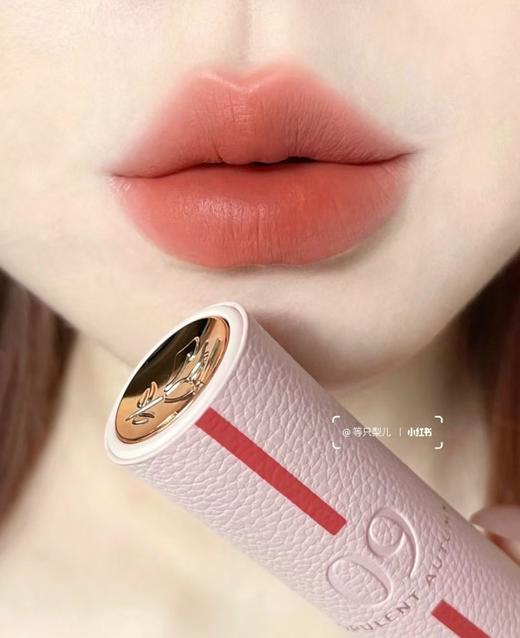 兰蔻菁纯唇膏礼物送女友哑光口红限定09#烤栗秋 03#怦然春 商品图3