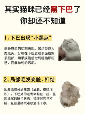 其实猫咪已经黑下巴了🐱你却还不知道❗️