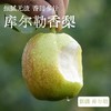 【新疆库尔勒香梨】一口甜到心尖❗脆爽多汁，细腻无渣，天山雪水💦滋养的甜蜜宝藏，润喉又解渴 商品缩略图0