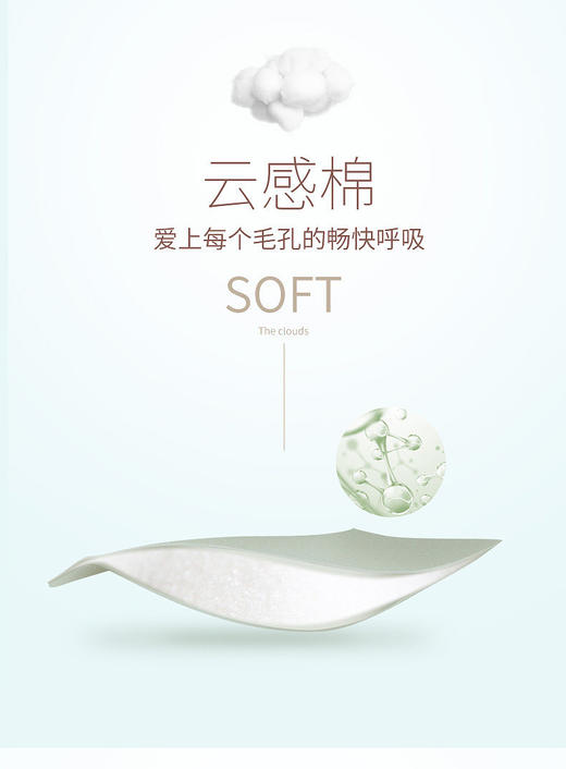 迪兰多调整型文胸云感棉中薄杯刺绣蕾丝2118463B 商品图13