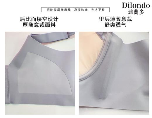迪兰多调整型文胸云感棉中薄杯刺绣蕾丝2118463B 商品图9