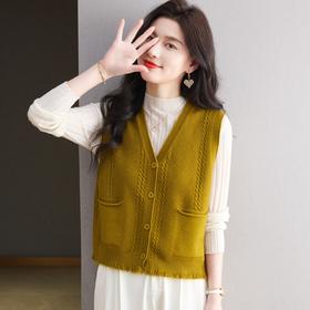 CC针织马甲女2025秋季新款时尚背心小坎肩宽松外穿气质文艺开衫上衣