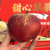 【藏区野生苹果】雪域冰川的藏区苹果新下树，原生态，亲测口感：风味浓！香气好！糖度高！酥脆酥脆，汁水很足！ 商品缩略图2