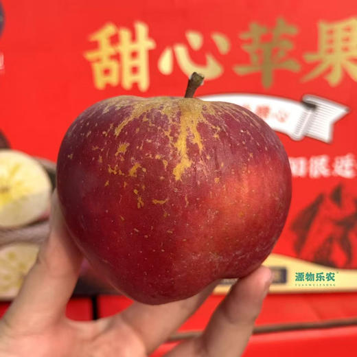 【藏区野生苹果】雪域冰川的藏区苹果新下树，原生态，亲测口感：风味浓！香气好！糖度高！酥脆酥脆，汁水很足！ 商品图2