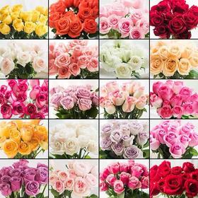 云南鲜花直发玫瑰50枝（40枝+10枝防损）大于3色系单支0.6元顺丰包邮到家