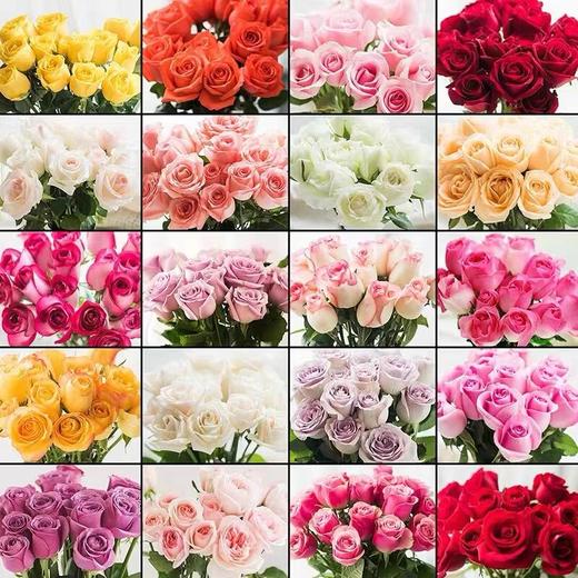 云南鲜花直发玫瑰50枝（40枝+10枝防损）大于3色系单支0.6元顺丰包邮到家 商品图0