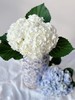 【混色绣球花】快递：顺丰冷链/中通/Ems，快递模版：新疆西藏内蒙古海南不发，甘肃、宁夏、青海不发黑龙江、辽宁、吉林+5元，乡镇不售后。 商品缩略图2