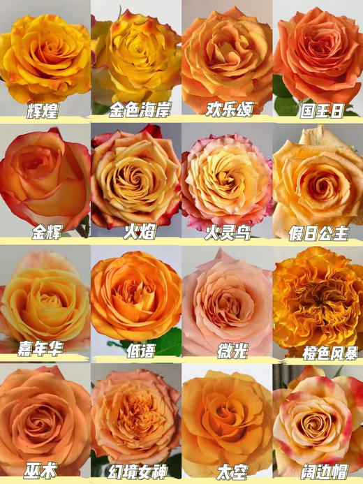 云南鲜花直发玫瑰50枝（40枝+10枝防损）大于3色系单支0.6元顺丰包邮到家 商品图3